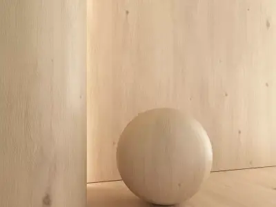 Oak Light Bleached 4 Textures Set 04 Texture