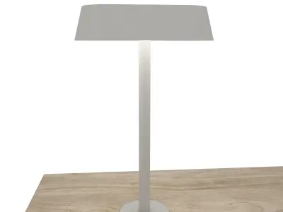 MUUTO Mounted Lamp 3D model