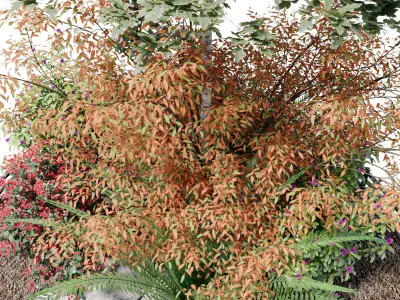 Alpine hill-Outdoor Plant Collection 3D model