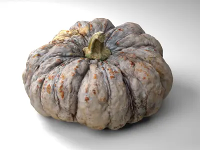 Warty Pumpkin - Photorealistic  Scan Low-poly 3D model