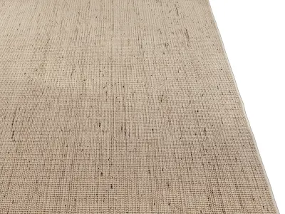 Carpet set 2221 - Jute Rug Taupe - 4K 3D model