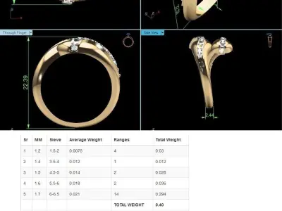 Women Ring 3D print model 53