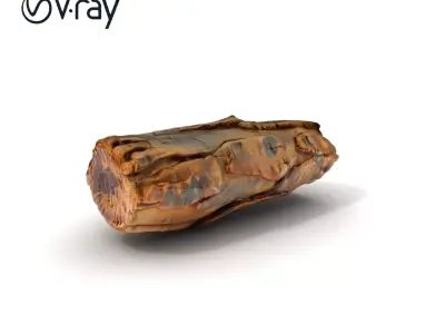 Tree Bark Texture Model Pack with High Detail Texture