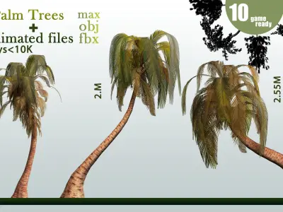 10 Palm Trees VOL 04 And Animated Files Low-poly 3D model