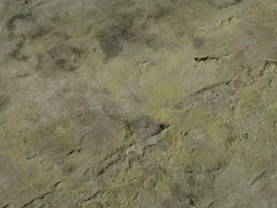 Mossy Aged Plaster Wall Texture