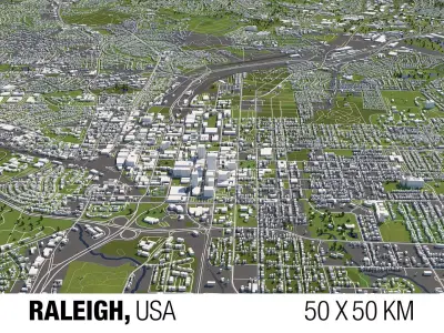 Raleigh 50x50km 3D City Map 3D model