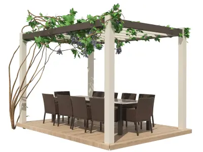 Modern pergola with climber grapevine 3d model 3D model