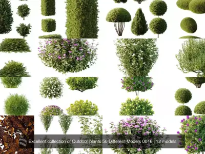 Excellent collection of Outdoor plants 50 Different Models 0046 3D Model Pack