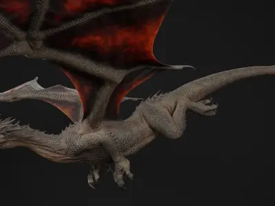  Dragon Adult Rigged 