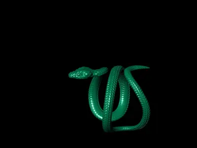 Ring Snake  3D print model