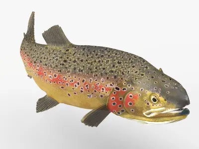  Rigged Freshwater Fish Collection 