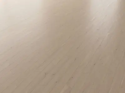 Parquet Oak Tundra Brushed set 7 3D model