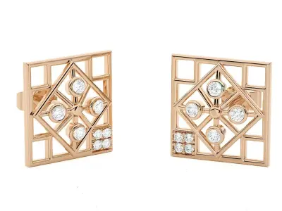 Light wt Women Diamond Earrings  3D print model