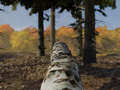 Photorealistic Different Tree Trunks Low-poly 3D model