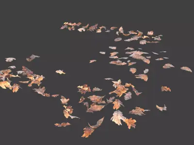 Leaves and Debris  Low-poly 3D model