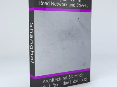Shanghai Road Network and Streets 3D model