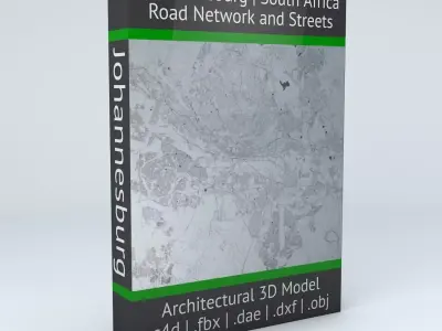 Johannesburg Road Network and Streets 3D model
