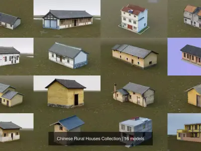 Chinese Rural Houses Collection 3D Model Pack