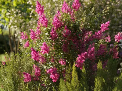  Garden shrub flowers Collection- Include GrowFX and Mesh file 