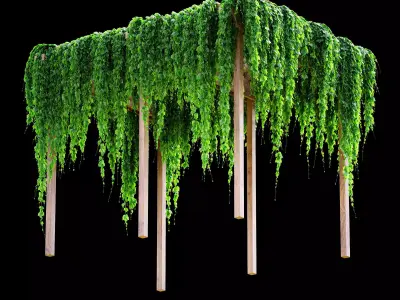 Pergola with grape leaves 3D model