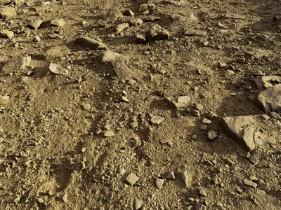 rockpathscan06102024 3D model