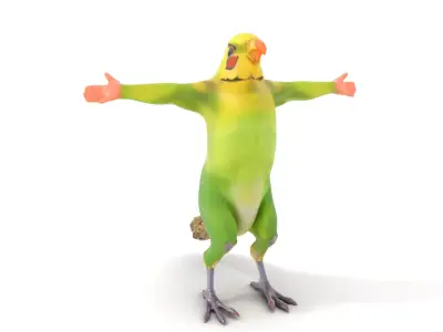 Tropical Parrot Hybrid model pack Low-poly 3D model