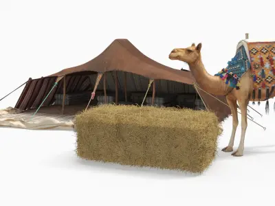  Traditional Bedouin Tent with Camel Fur 