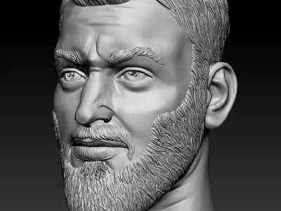 Male head sculpt human hair beard anatomy detailed  3D model
