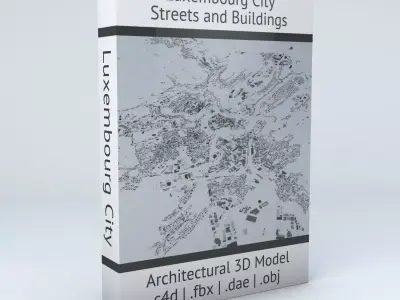 Luxembourg City Streets and Buildings 3D model