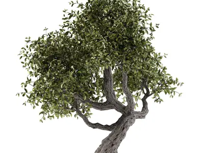 Twisted Tree Low-poly 3D model
