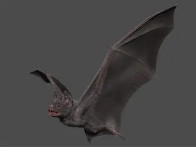  Vampire Bat 