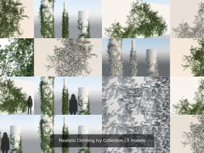 Realistic Climbing Ivy Collection 3D Model Pack