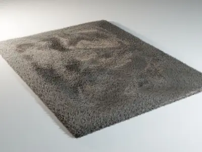 Furry Carpet 3D model