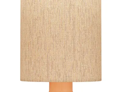 Brynn Terracotta Floor Lamp 3D model
