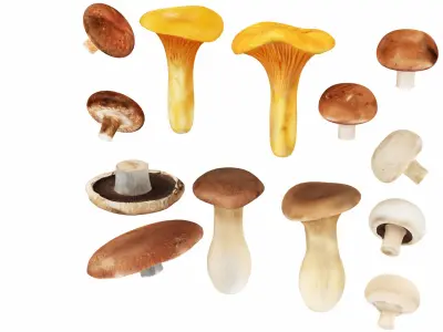  Mega Vegetable Collection 40 in 1 