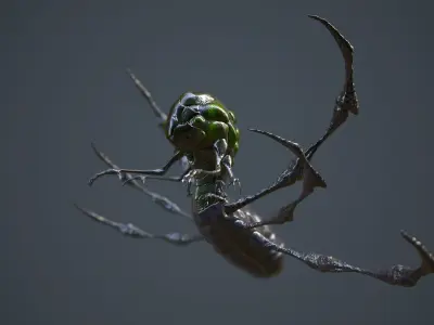 Abathur spider Low-poly 3D model