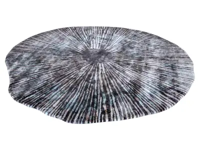 Sea Blue Caliedo Rug Low-poly 3D model