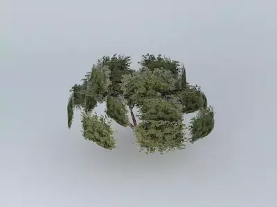 Great street minas tree Free 3D model