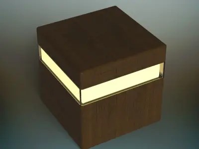 Wood lamp 3D model