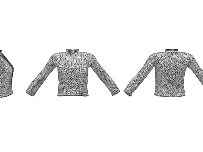 GOAM Winter Sweater Low-poly 3D model