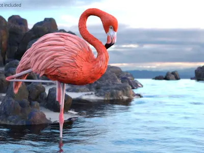  Pink Flamingo Bird in One Leg Pose 
