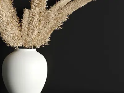 pampas grass 3D model