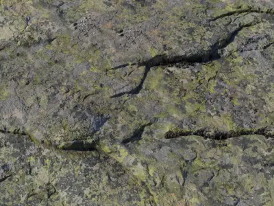 Realistic Mossy Cracked Rock Surface Texture