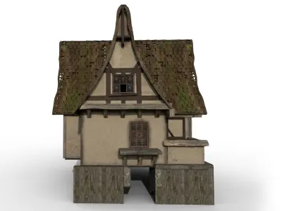 Medieval Witch House Low-poly 3D model