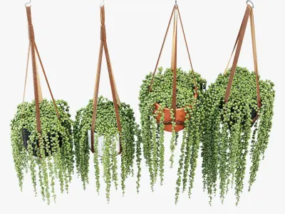 Plant hanger 3D model
