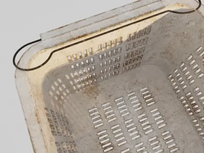 Hong Kong Vegetable Case 3D model