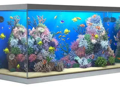  Marine aquarium 