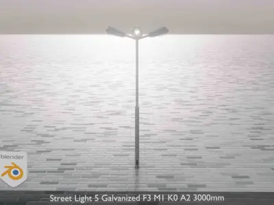 Street Light 5 Galvanized F3 M1 K0 A2 3000mm Low-poly 3D model