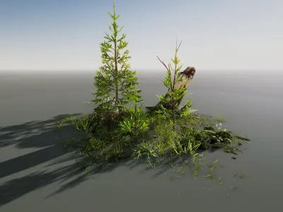 Northern Spruce Forest Low-poly 3D model