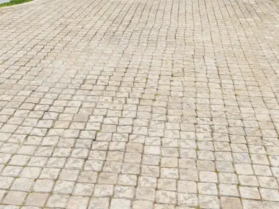 3D Scanned Pavement and driveway 3D model